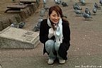 青木明香（あおきあすか）