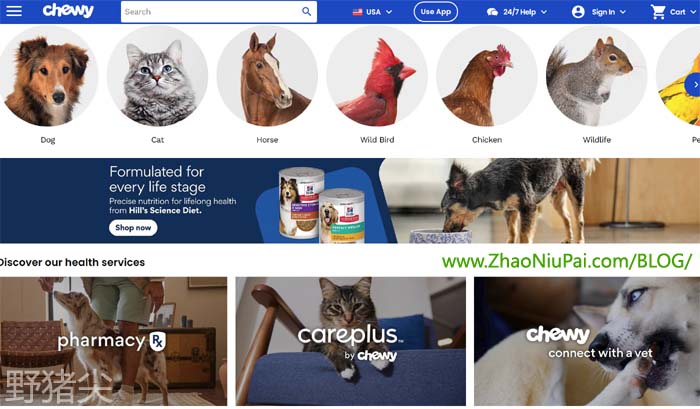 Payoneer-Chewy2025-RuZhu2.jpg