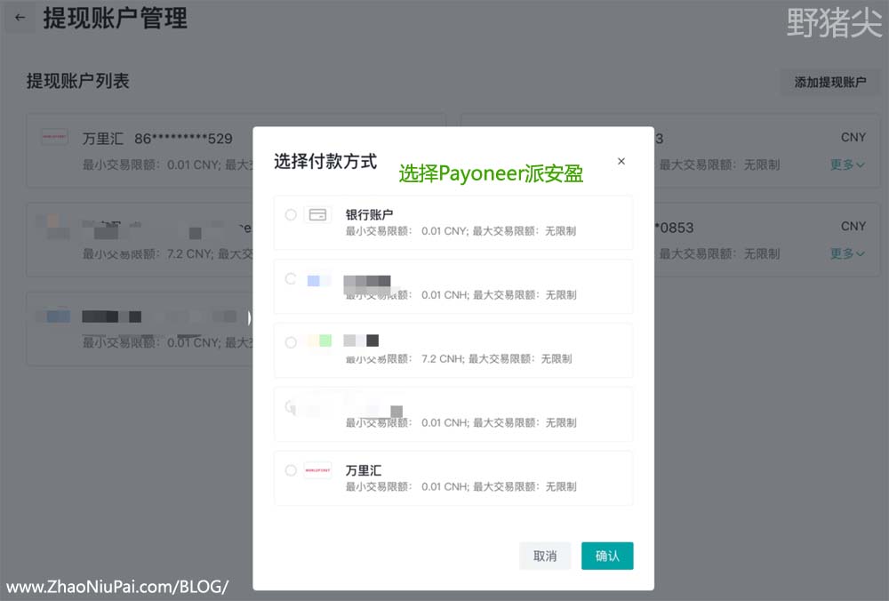 选择付款方式为Payoneer派安盈.jpg