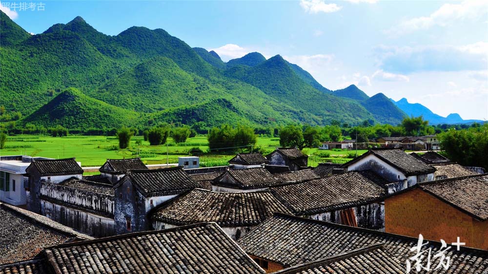 李沛年《银梅古韵》.jpg
