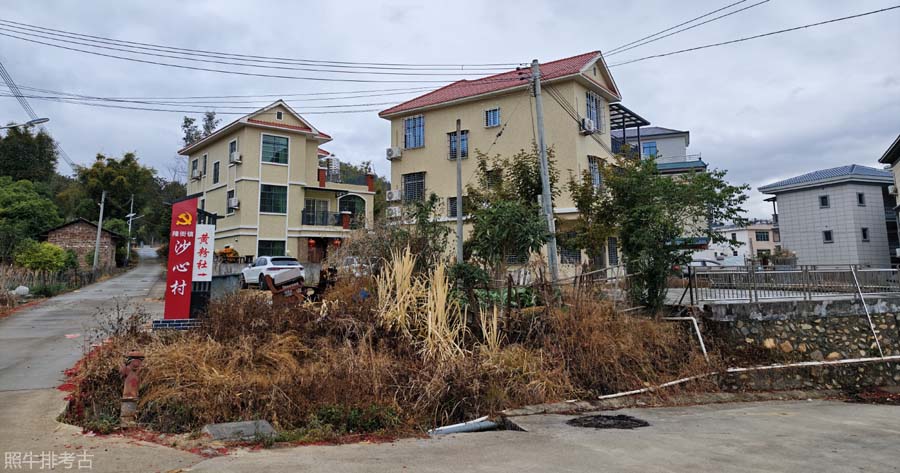 沙心村黄粉社.jpg
