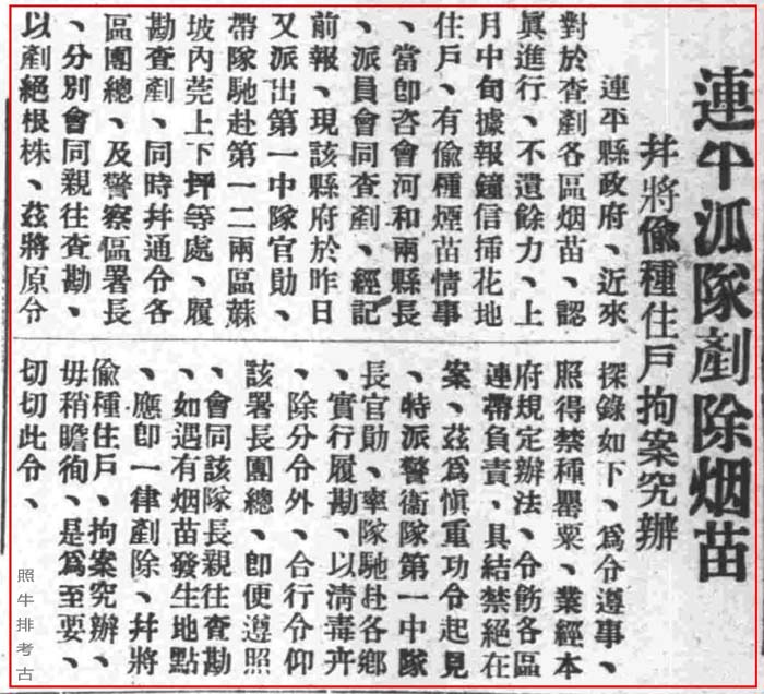 连平派对铲除烟苗.jpg