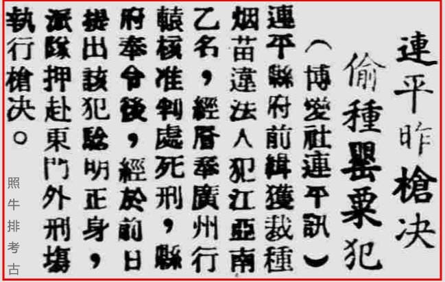 连平昨枪决偷种罂粟犯.jpg