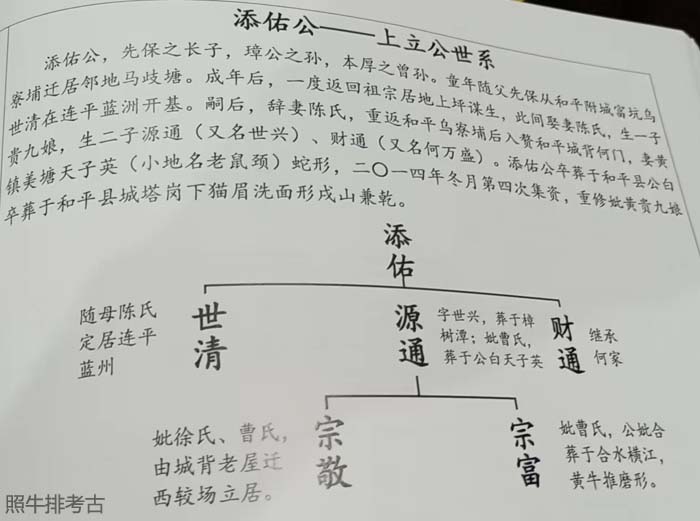 和平谢添佑世系.jpg