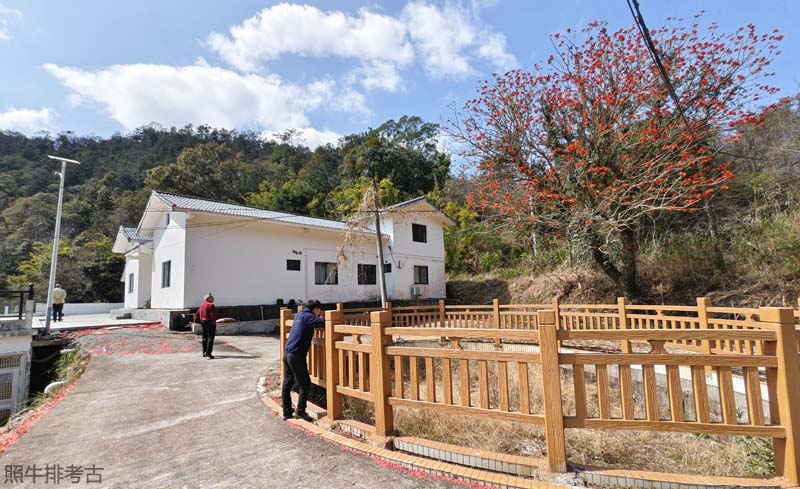 岐山莲蔴树下 岐山莲蔴树下.jpg