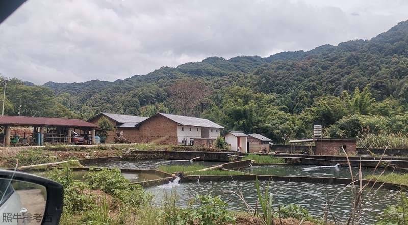 三洞下楼中华鲟养殖基地.jpg