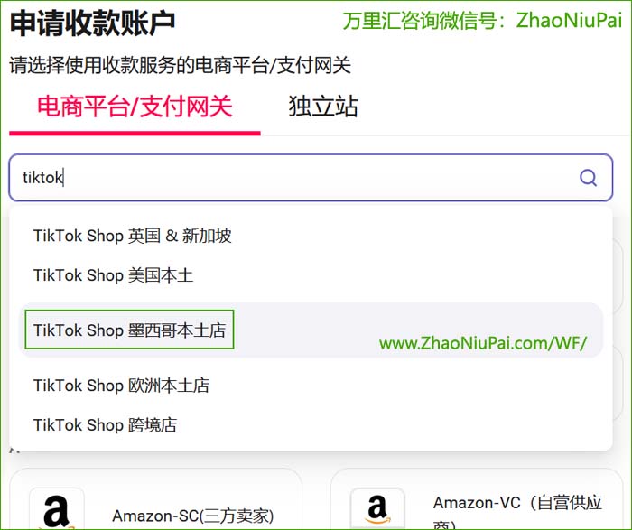 选择TikTok Shop墨西哥本土店.jpg